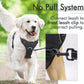 DOGHOUSE™ REFLECTIVE DURABLE HARNESS