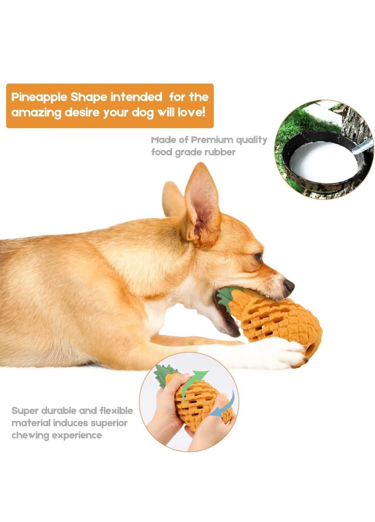 DOGHOUSE™ PINEAPPLE CHEW TOY