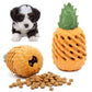 DOGHOUSE™ PINEAPPLE CHEW TOY